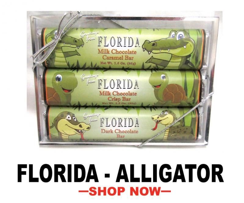 Florida Alligator souvenir sweets shop now