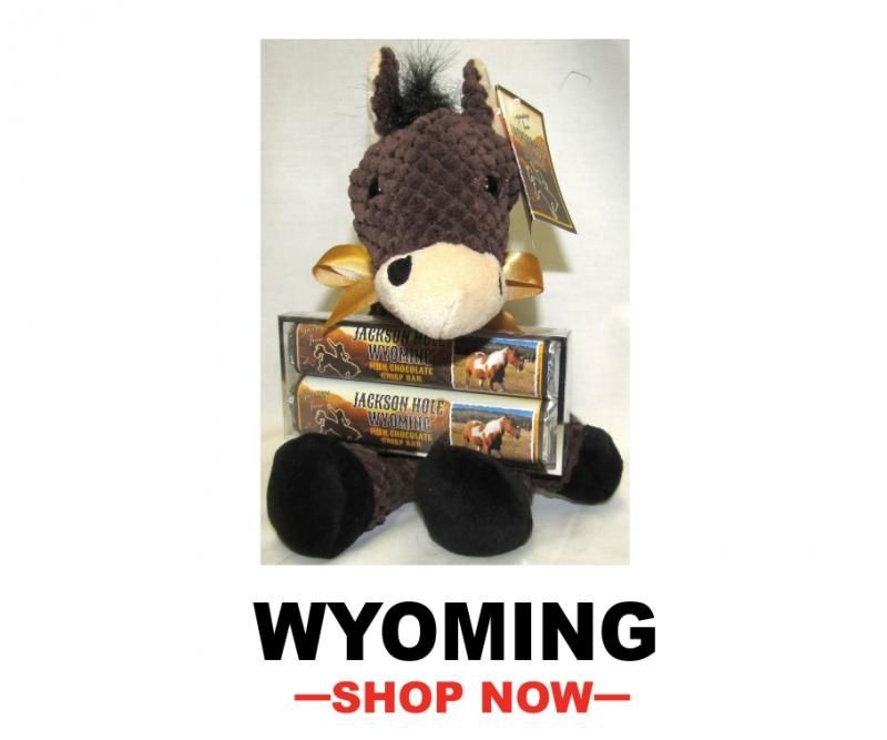 Wyoming souvenir sweets shop now