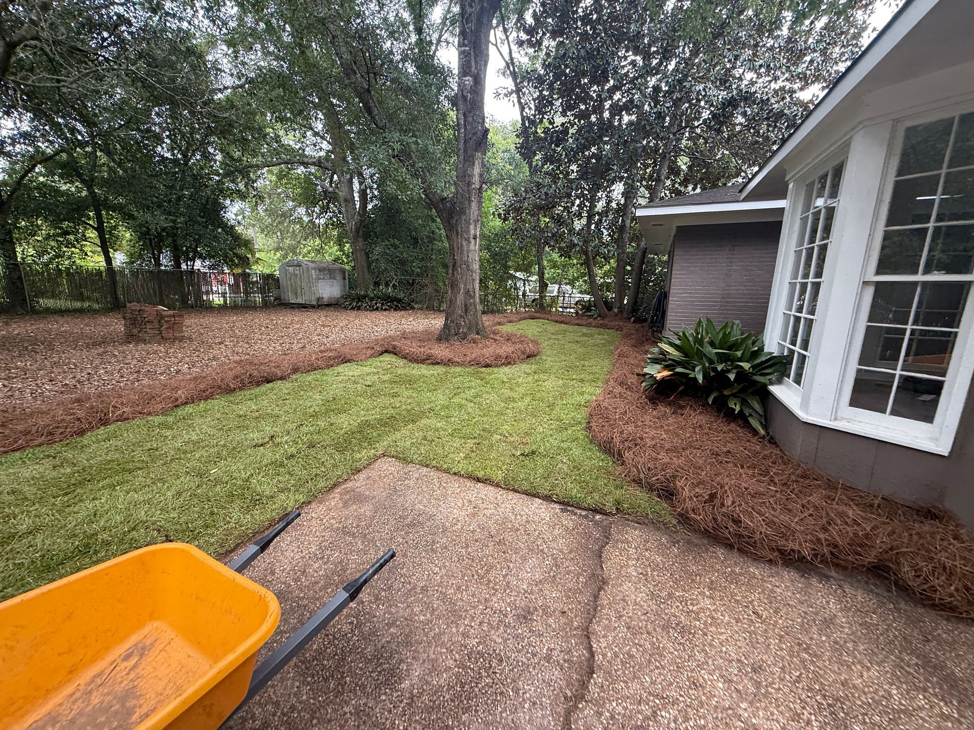 Lawn fertilization