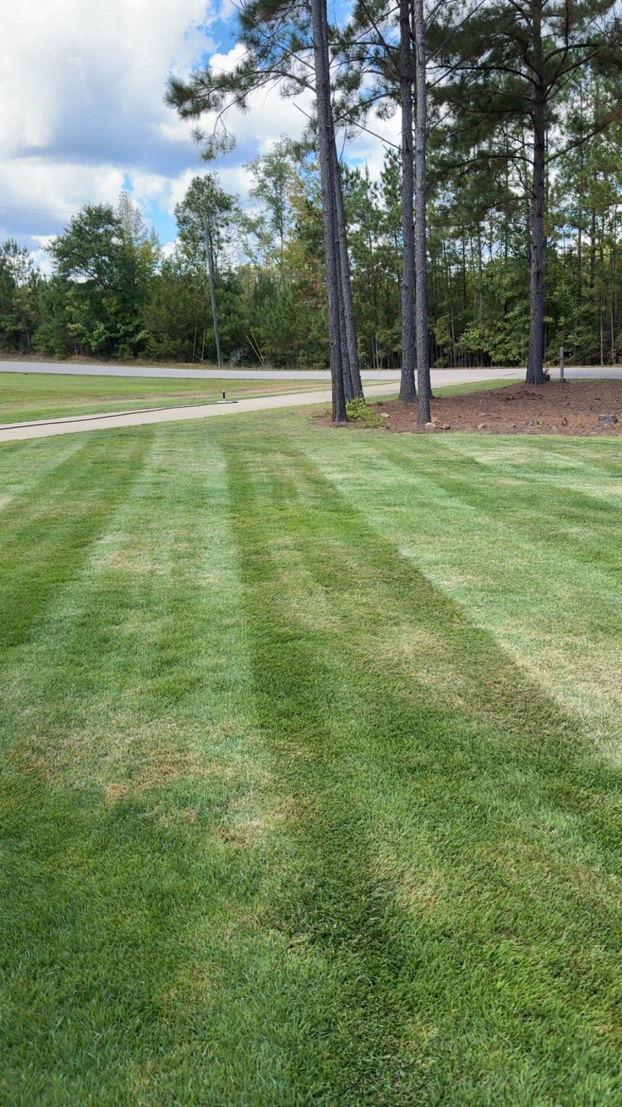 Soil testing services