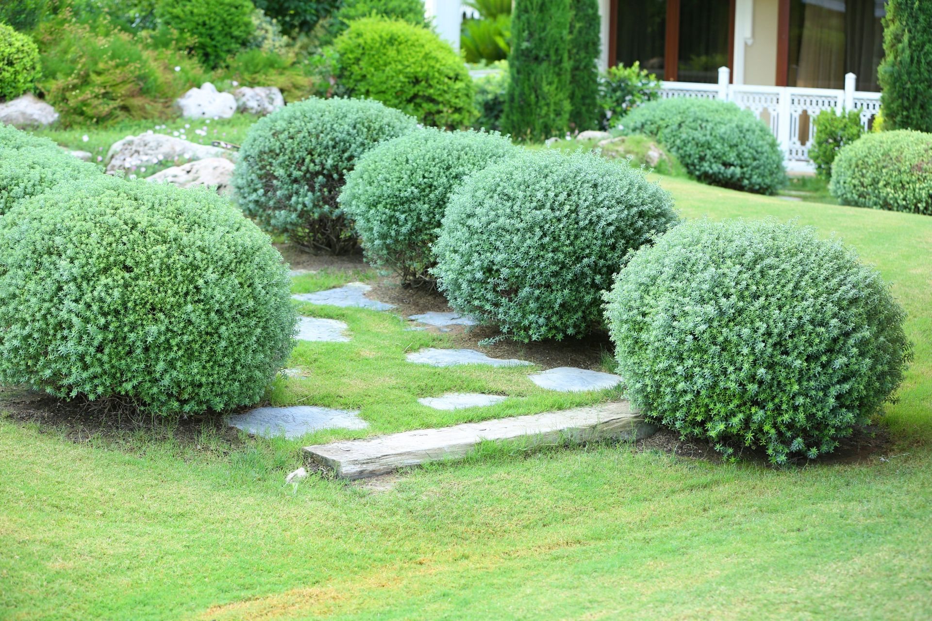 Shrub Trimming Service