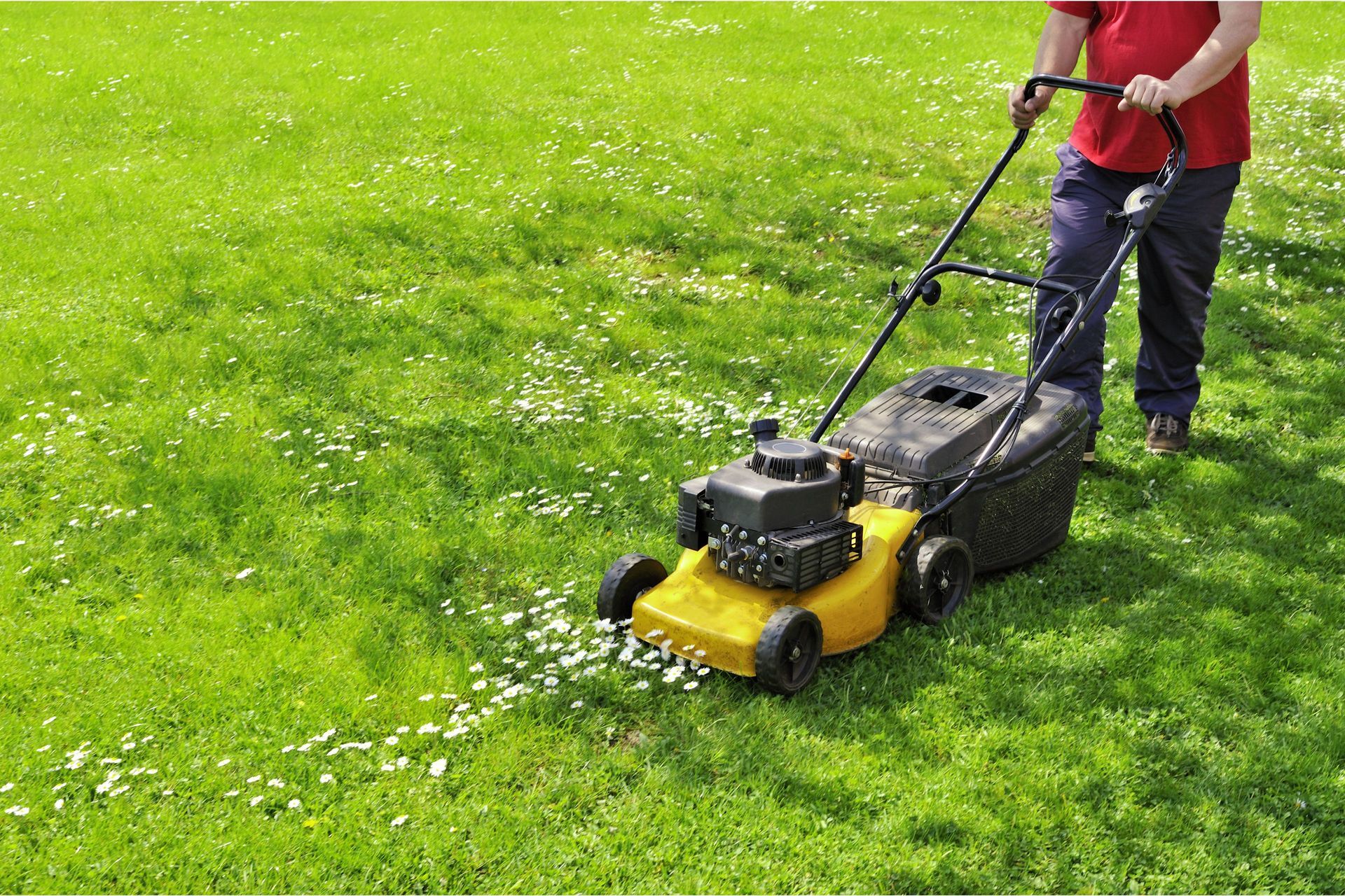 Lawn Mowing Service