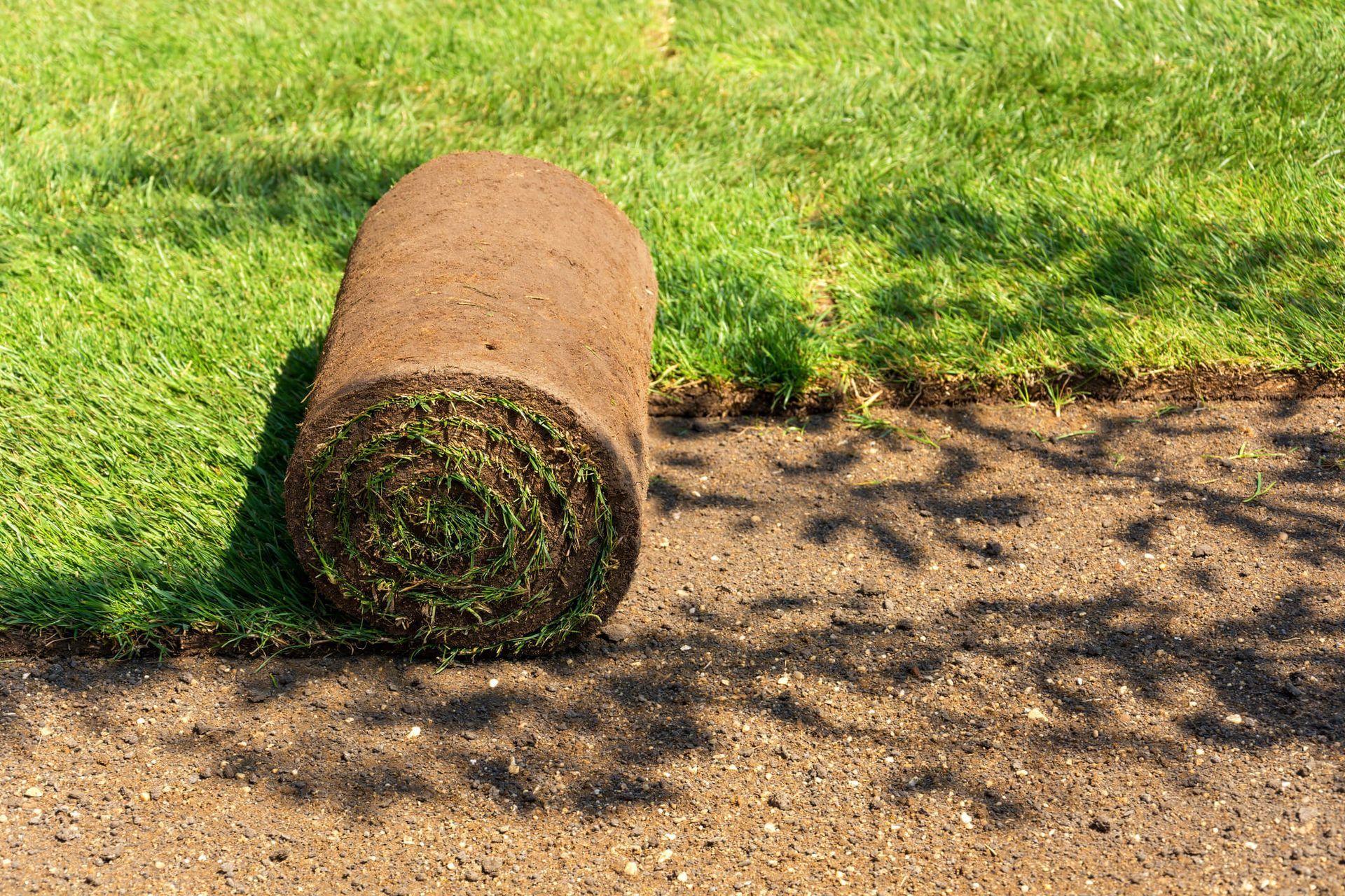 Plant & Sod Installation