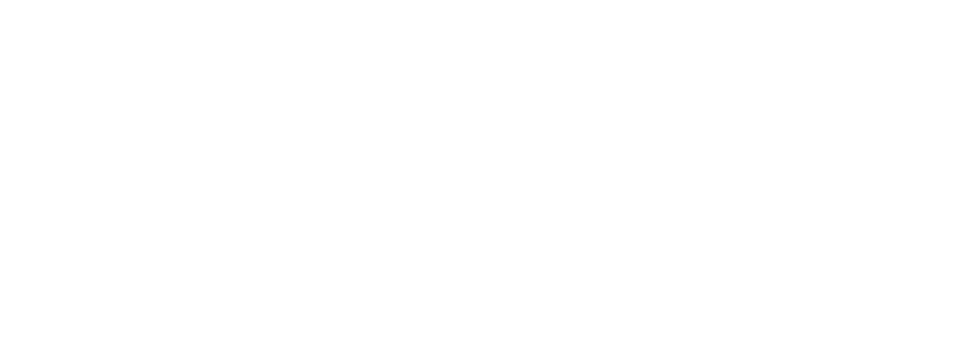 Premier Polishing 