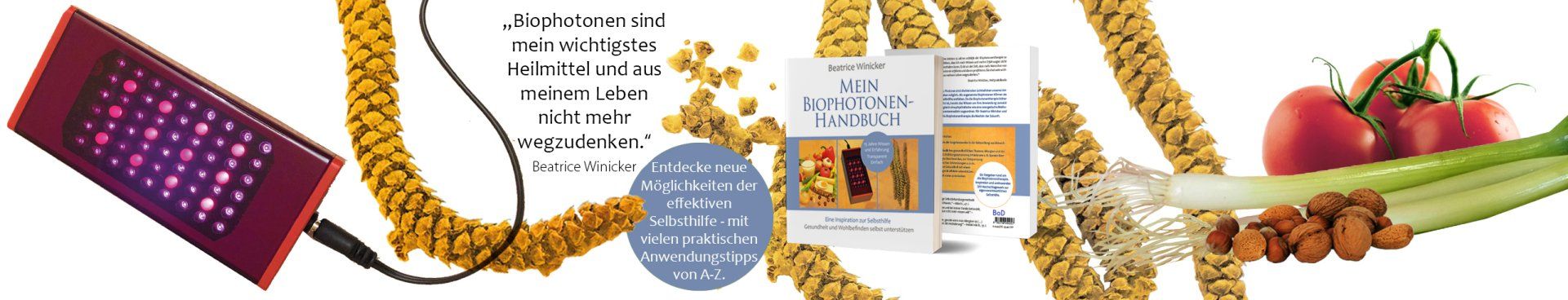 Mein Biophotonen-Handbuch, Biophotonentherapie, Biophotonen als Selbsthilfemethode