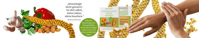 Kinesiologisch testen können Einfach-individuell-lösungsorientiert, Kinesiologie, Kinesiologischer Muskeltest, Kinesiologie lernen, kinesiologisch testen lernen, Kinesiologie-Buch für Laien, Kinesiologie leicht verstehen, Kinesiologie easy lernen