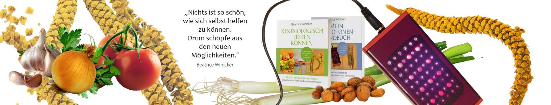 Mein Biophotonen-Handbuch Eine Inspiration zur Selbsthilfe, Biophotonentherapie für Therapeuten und Laien; Kinesiologisch testen können Einfach-individuell-lösungsorientiert, Kinesiologie.Buch für Therapeuten und Laien, DIY-Bücher zum Thema Biophotonen und Kinesiologie, DIY-Biophotonentherapie, DIY-Kinesiologie