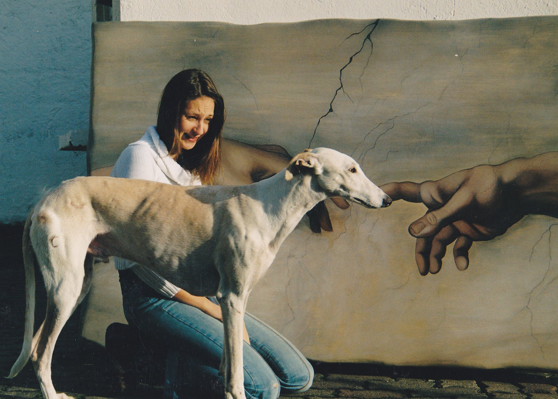 Galgo espanol aus dem Tierschutz, Beatrice Winicker