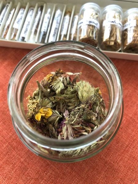 Heuschnupfen, Gräserpollen, Gräserpollenallergie, Biophotonentherapie bei Gräserpollenallergie, Biophotonen, Biophotonentherapie bei Heuschnupfen,
