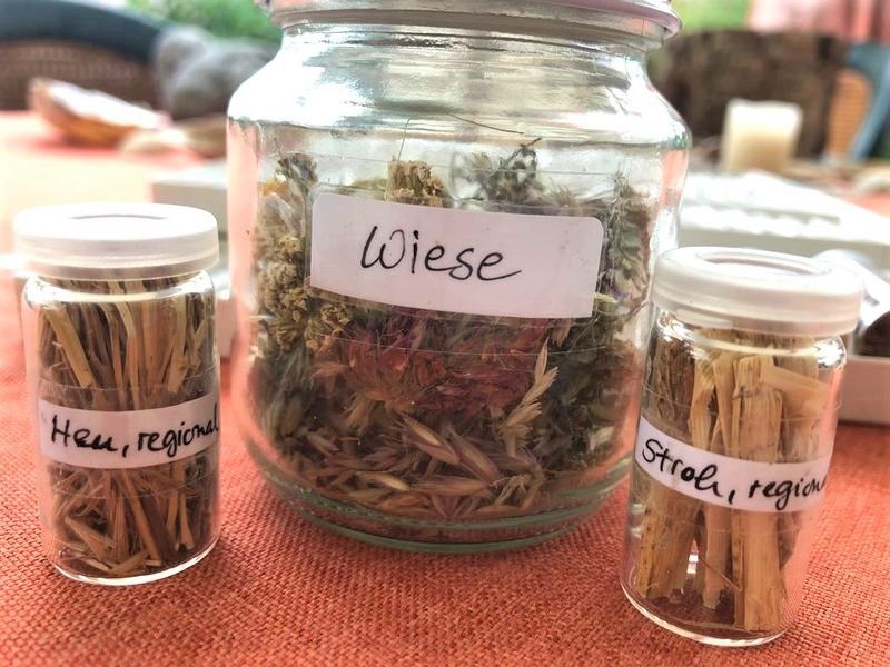 Gräserpollen, Heu, Stroh, Heuschnupfen, Biohotonen bei Allergien, Biophotonentherapie, Photonentherapie