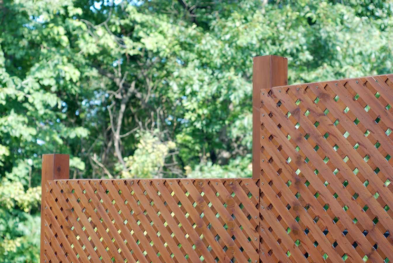 A Wooden Lattice Fence With Trees in the Background — 2 Deadly Timber & Lattice in Ayr, QLD