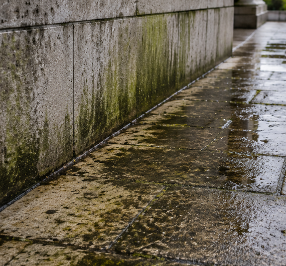 Wet mossy concrete walkway beside a stained gray wall, reflecting light on the rain-soaked ground