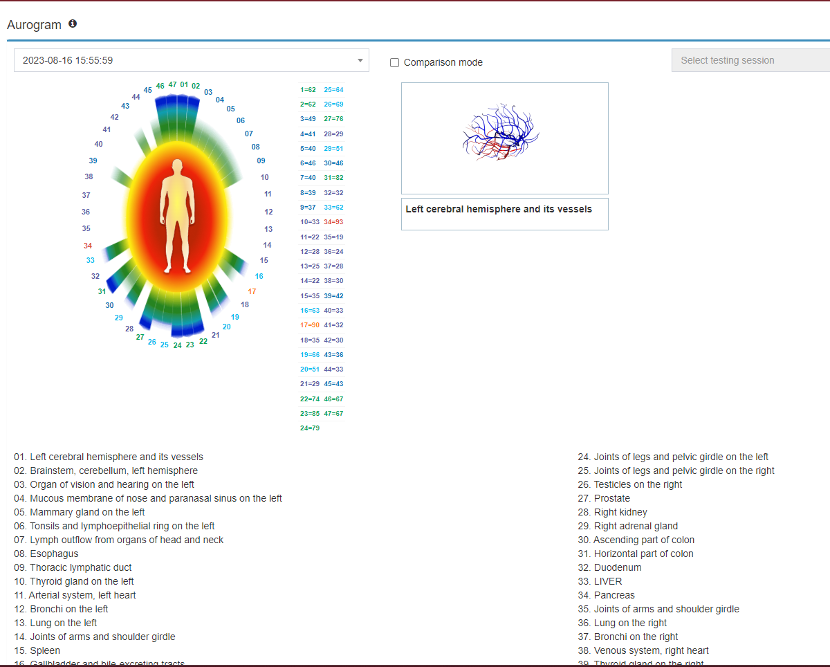 A computer screen shows a diagram of a person 's aura