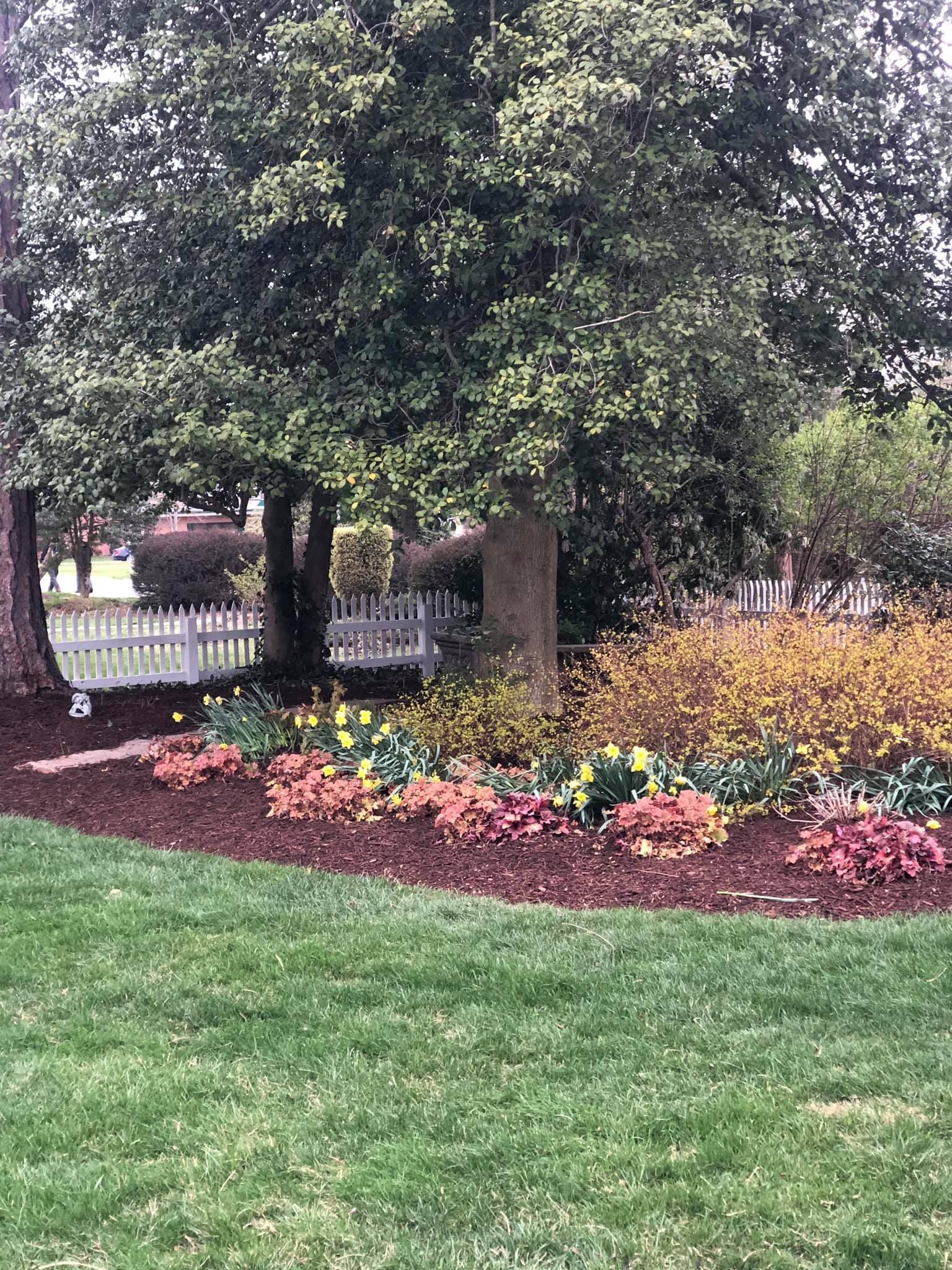 A lush green lawn surrounded by trees and flowers with a white fence in the background.
