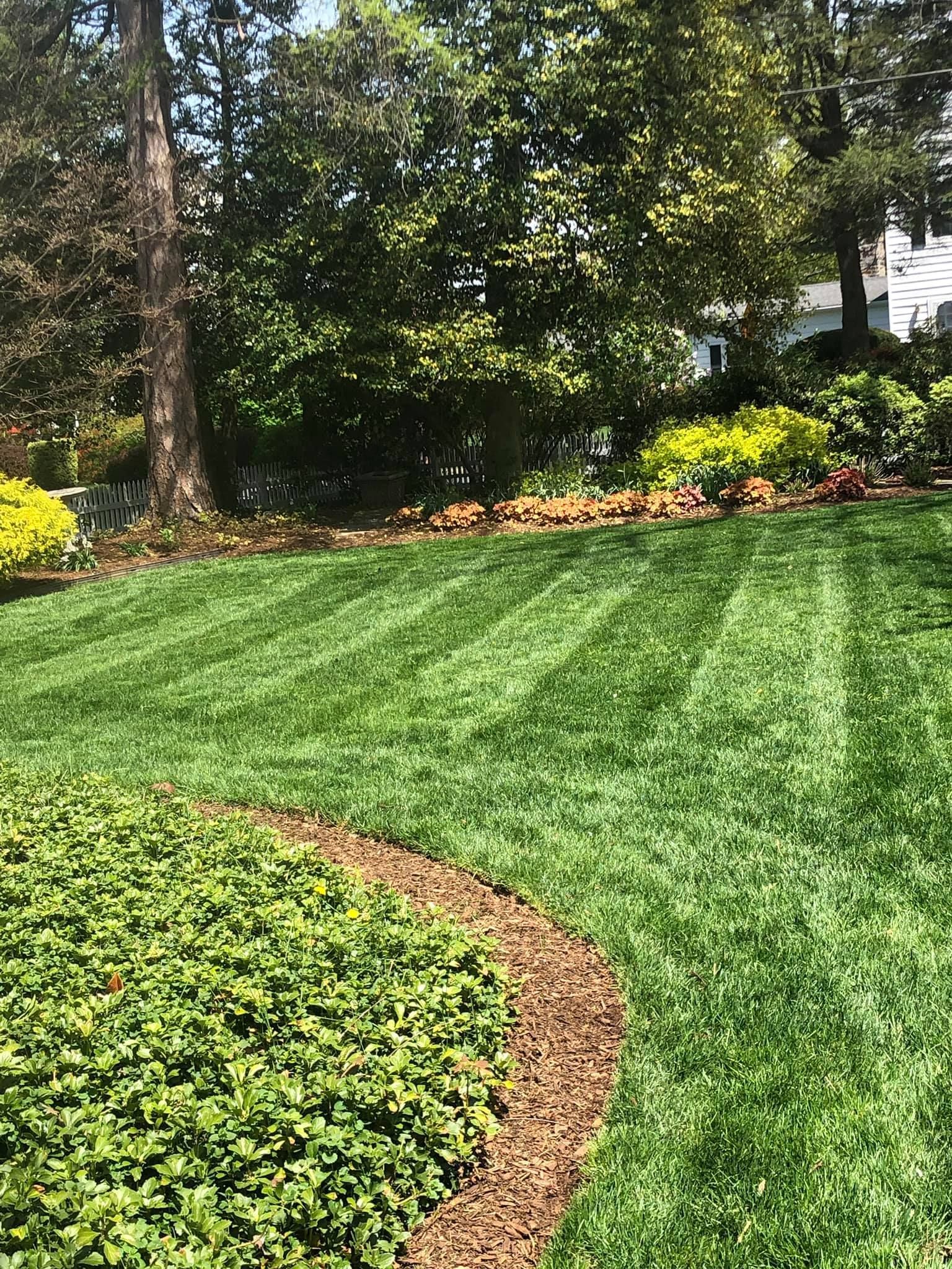 A lush green lawn with trees and bushes in the background.