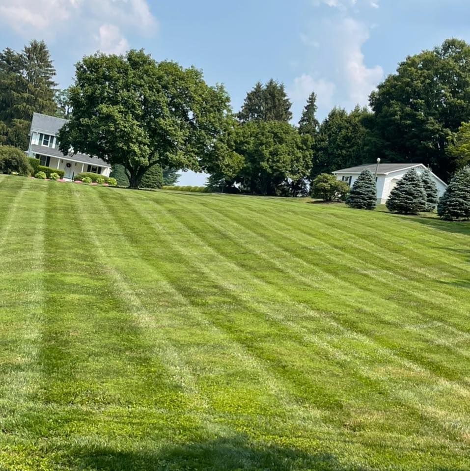A lush green lawn with trees and a house in the background