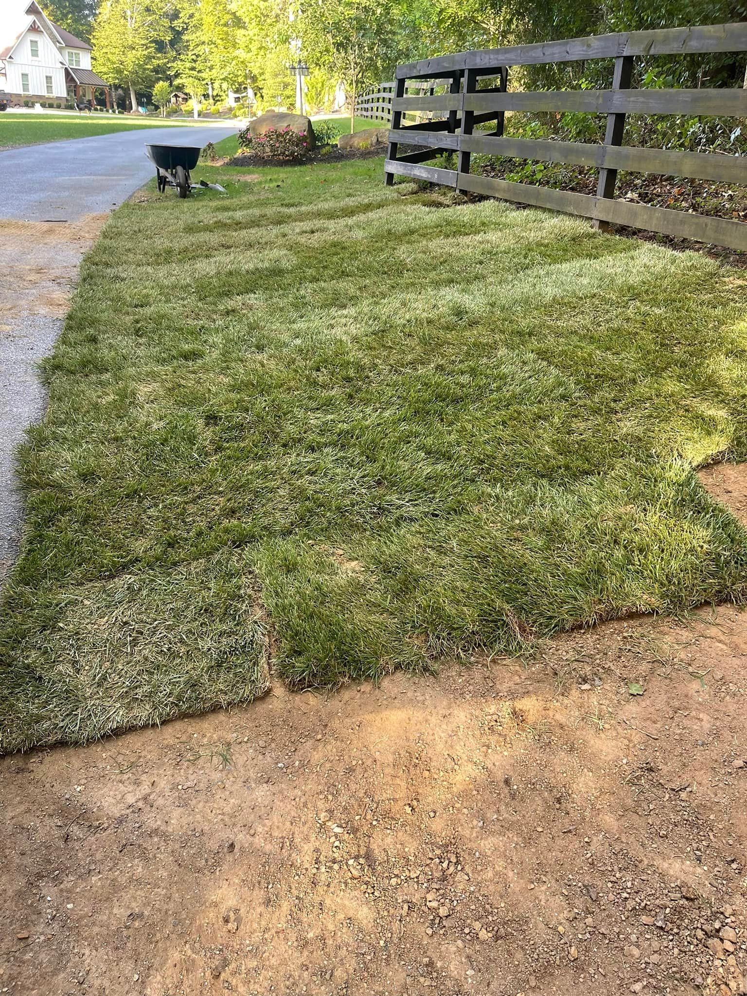 A lush green lawn next to a wooden fence and a wheelbarrow.