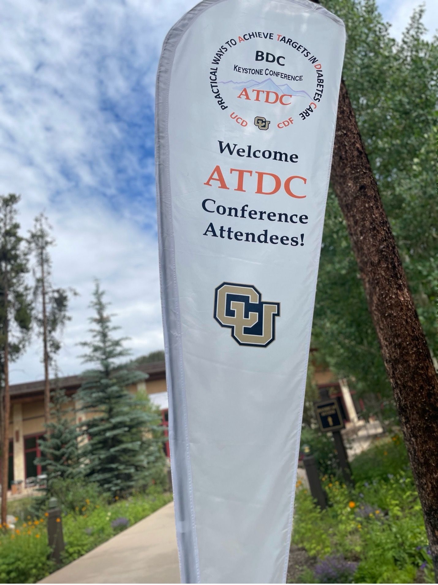 ATDC Conference | Children's Diabetes Foundation