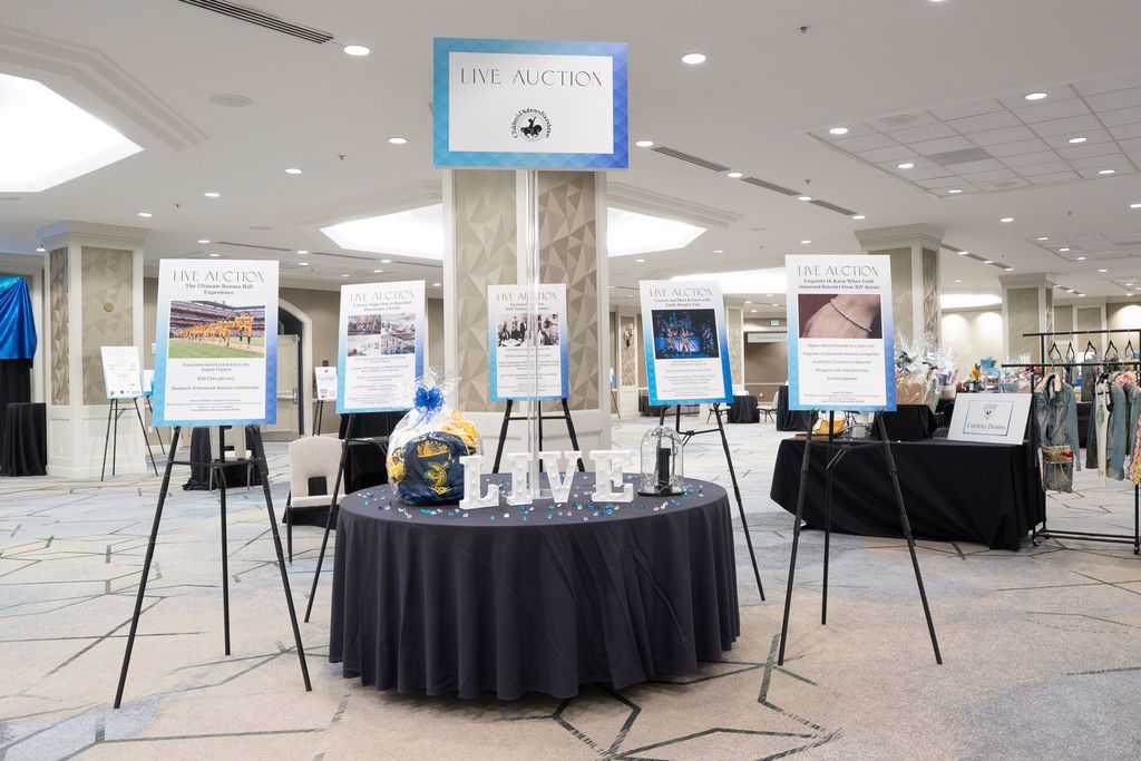 Live Auction display highlighting all live auction items