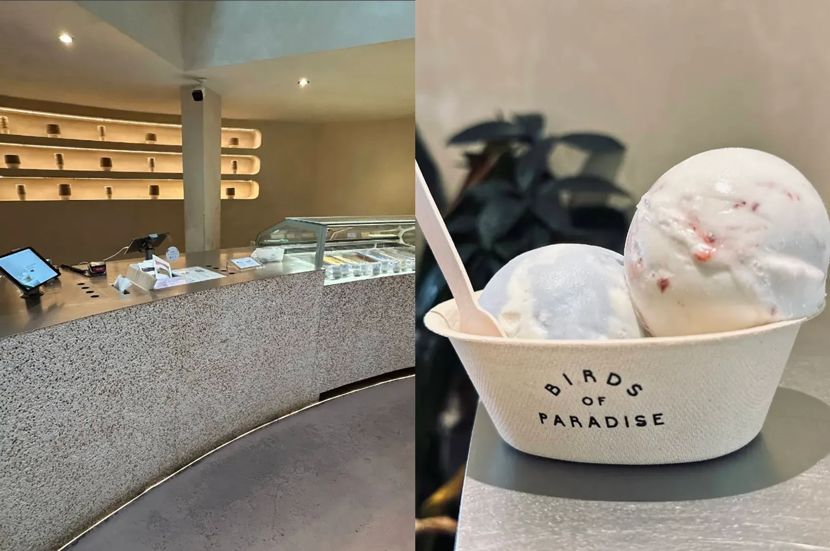Two scoops of ice cream in a cup on a counter in a modern cafe setting