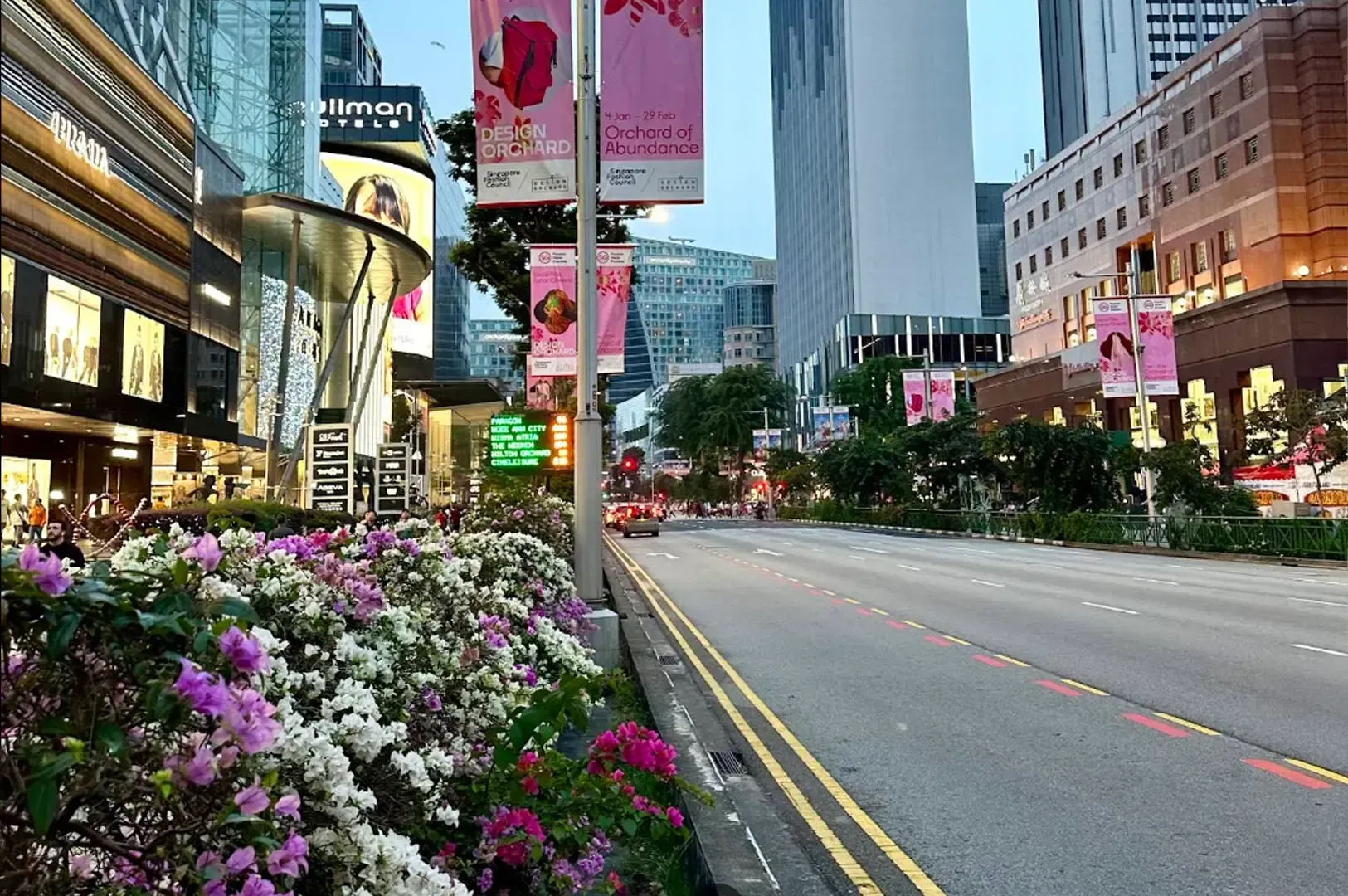 Flower-lined city street with tall buildings and illuminated signs at dusk