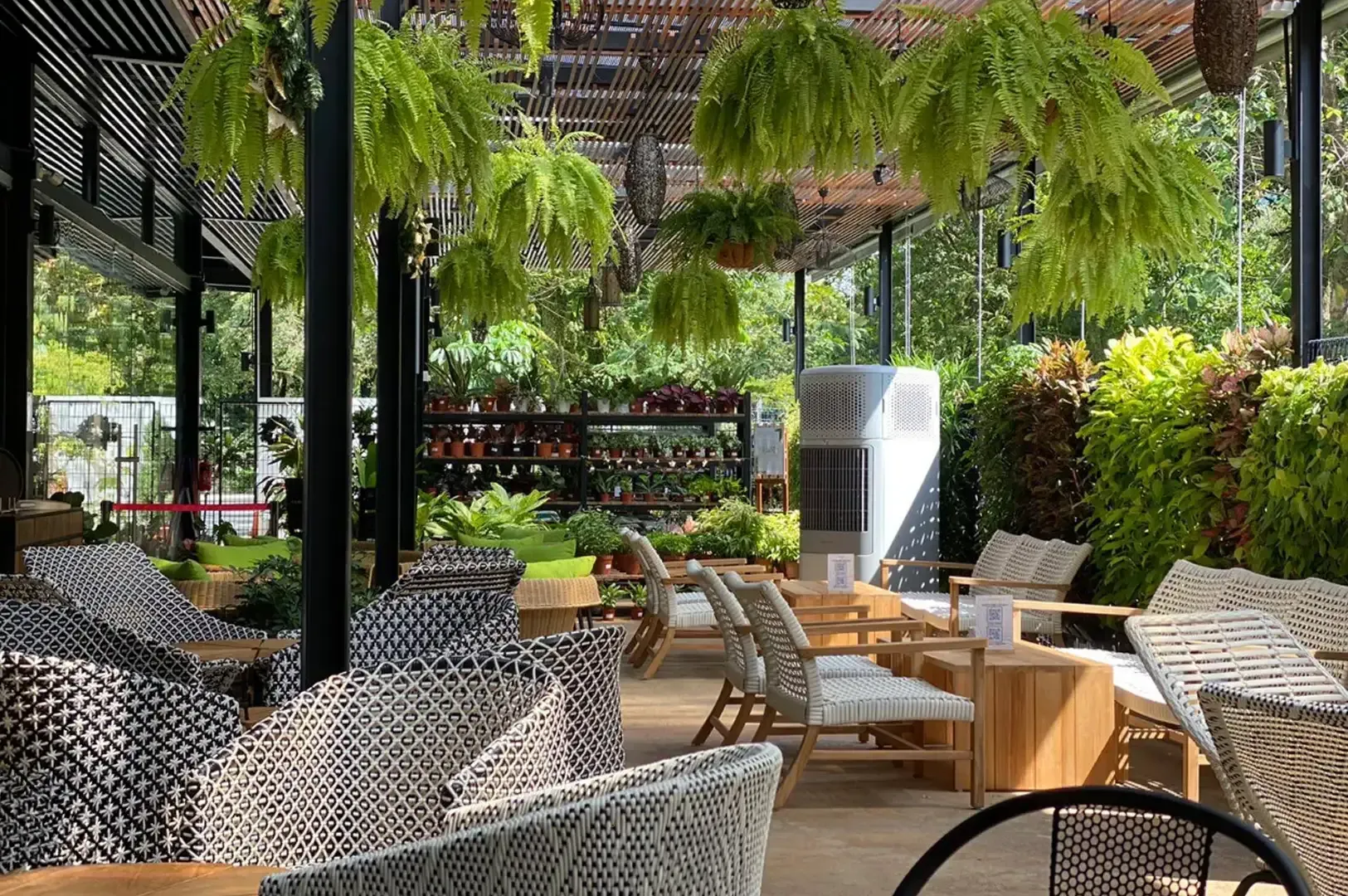 Open-air cafe with wicker chairs, hanging ferns, and sunlight filtering through a leafy patio