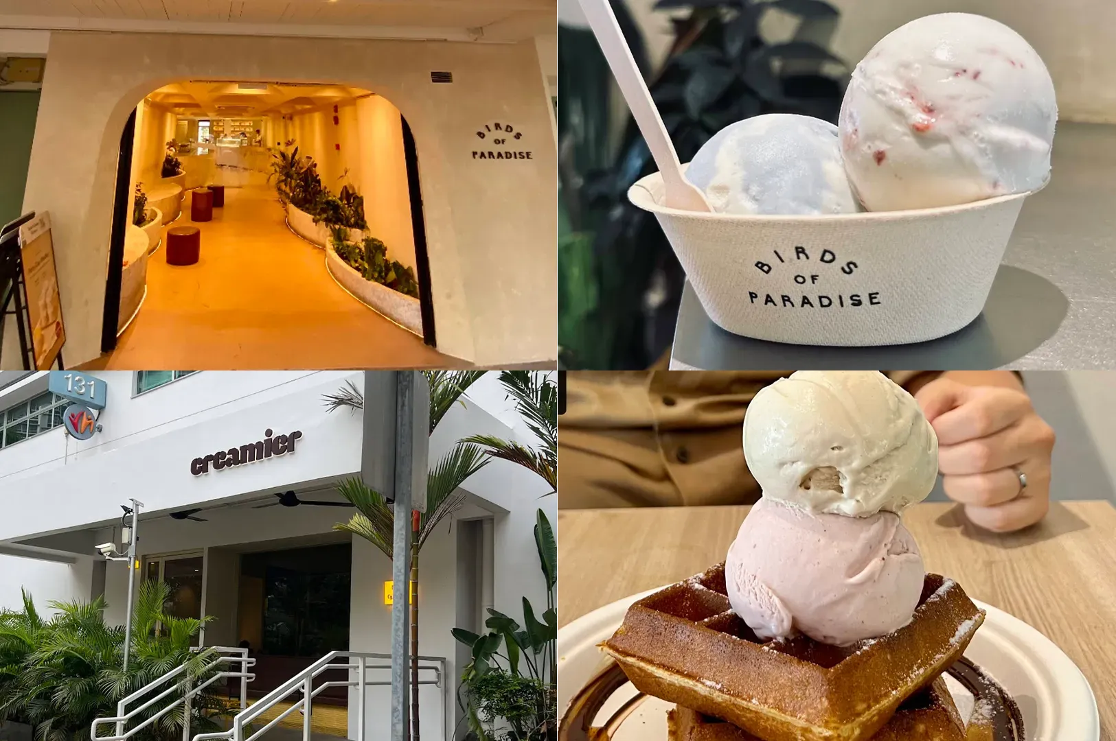 Collage of a dessert shop exterior, a pastry case, and scoops of ice cream on plated desserts