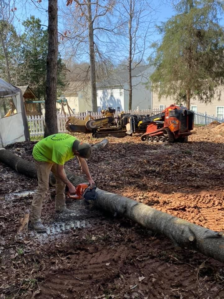 A man is cutting a tree with a chainsaw in a yard.