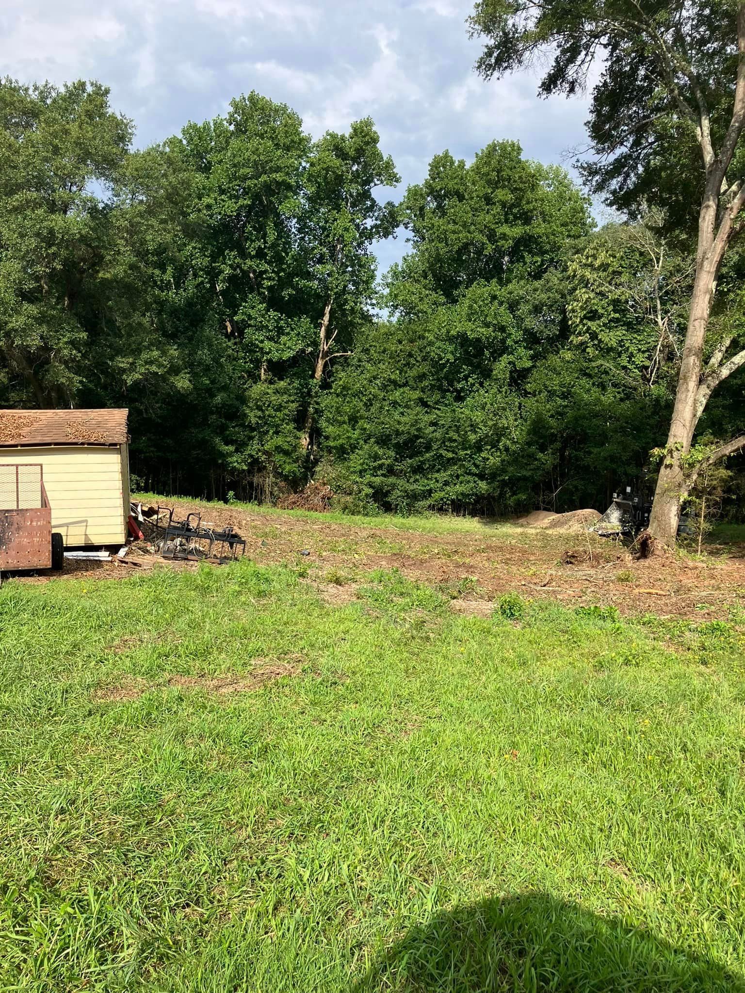 A large grassy field with a shed and trees in the background.