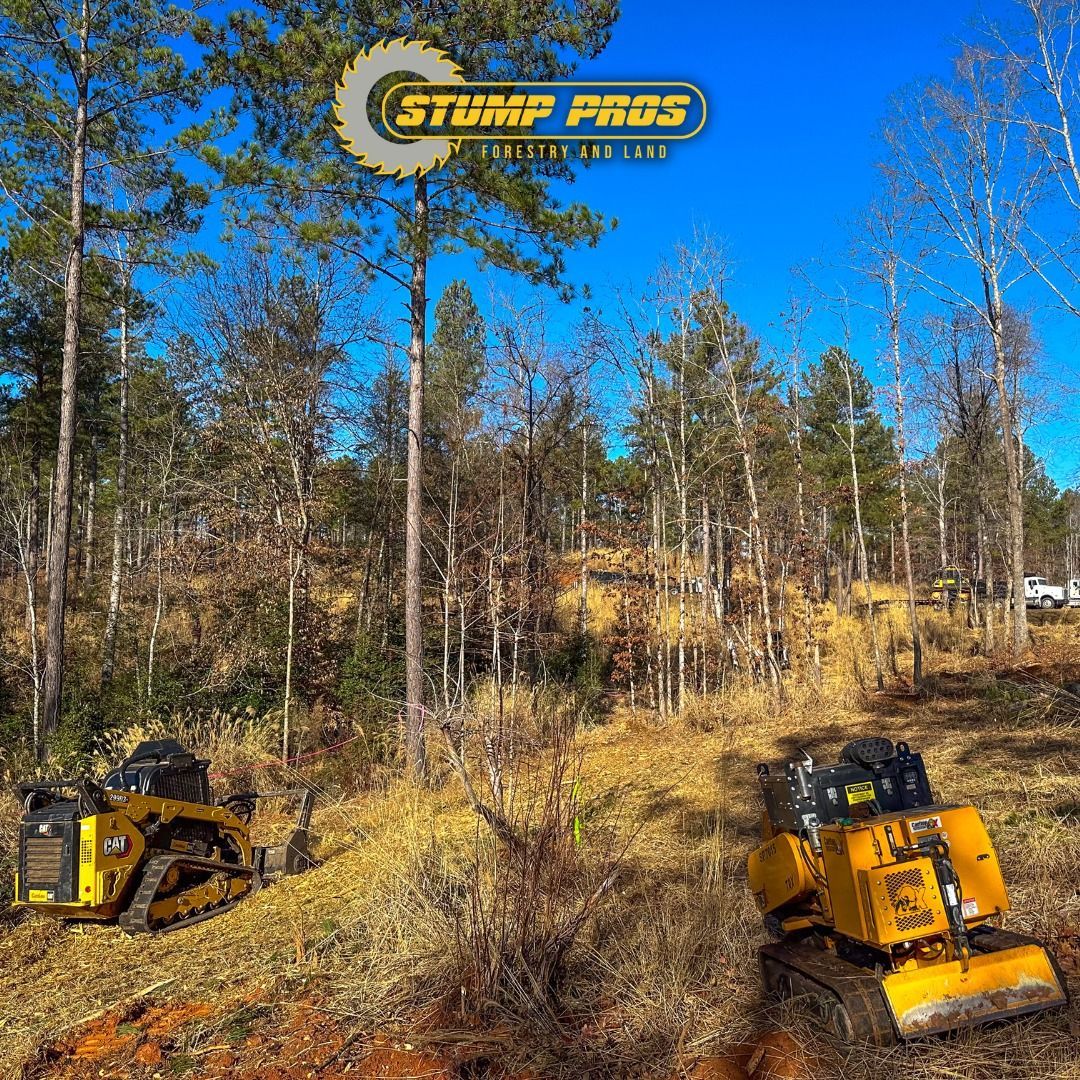 A couple of bulldozers are driving through a forest.