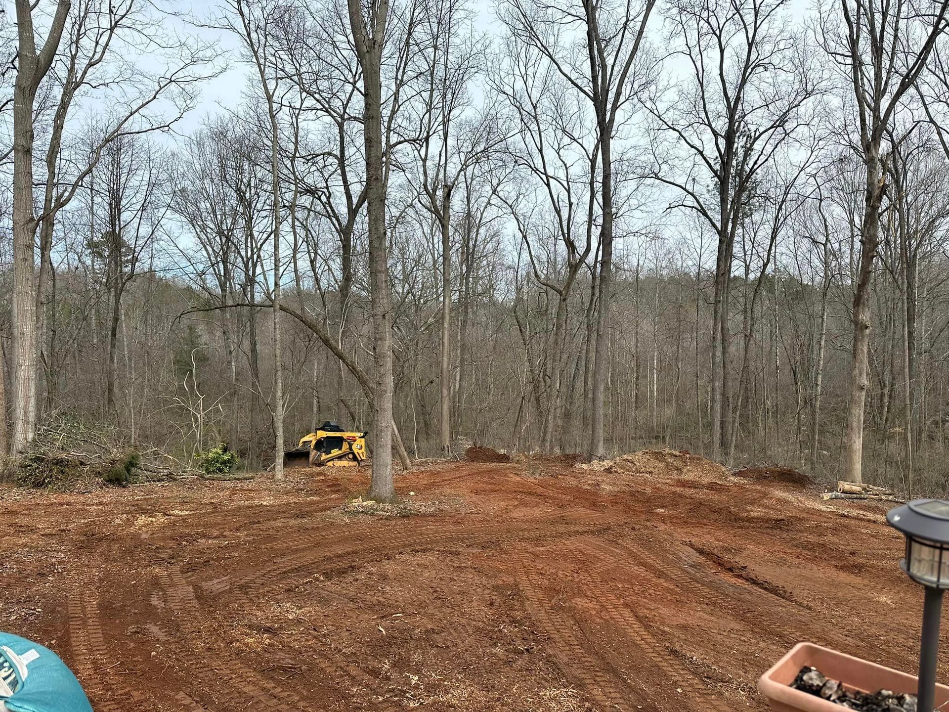 A bulldozer is working on a dirt field in the middle of a forest.