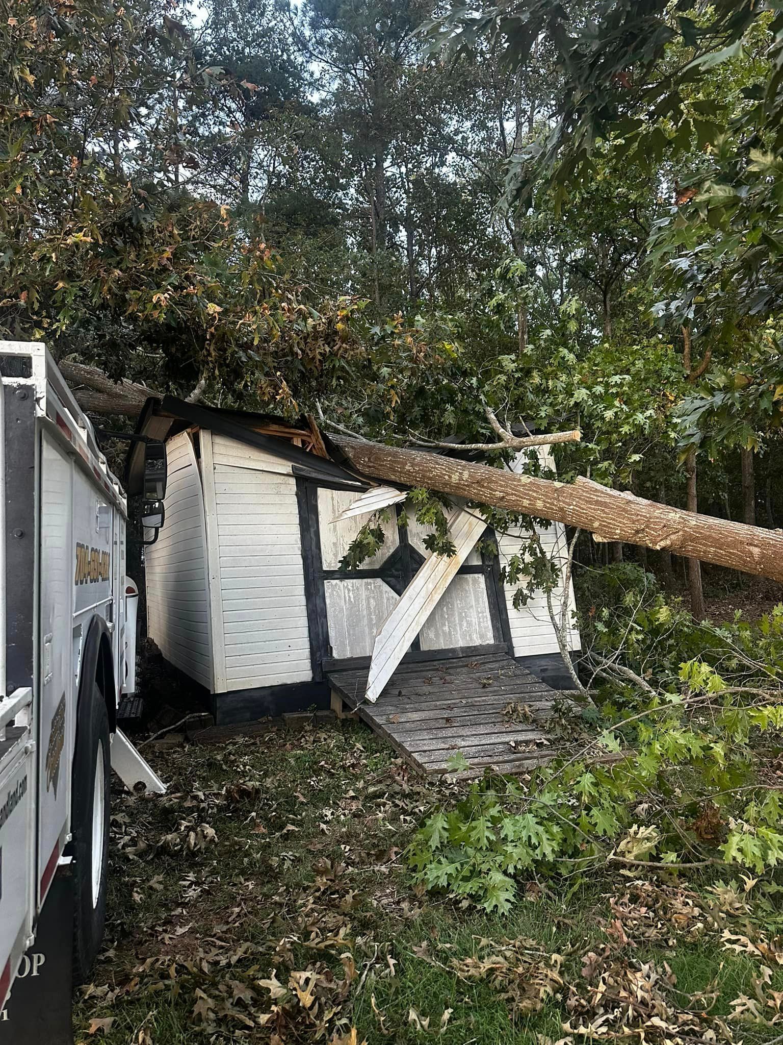 A tree has fallen on a shed in the woods.