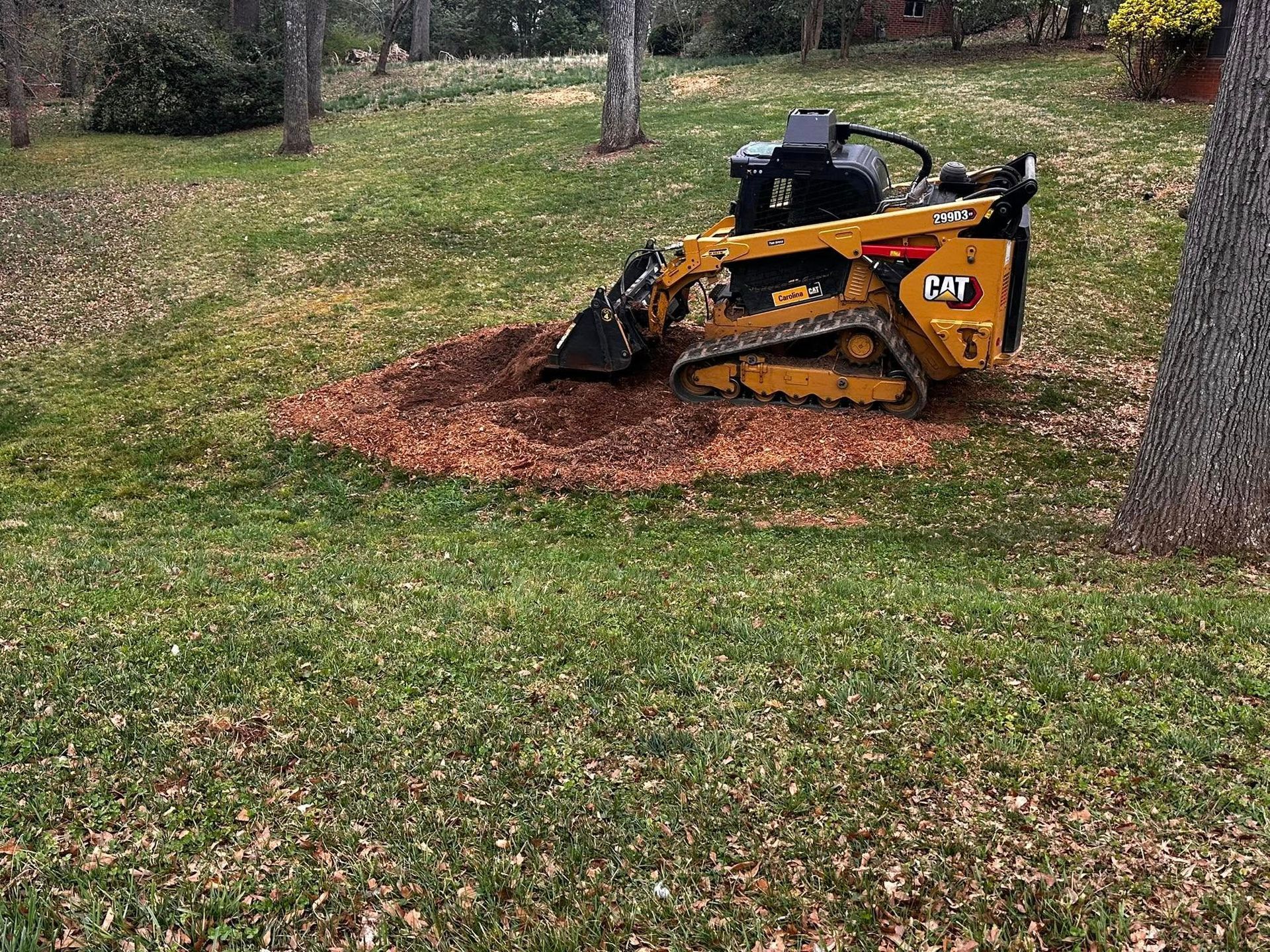 Yellow Caterpillar stump grinder at work on a tree stump in a grassy yard.