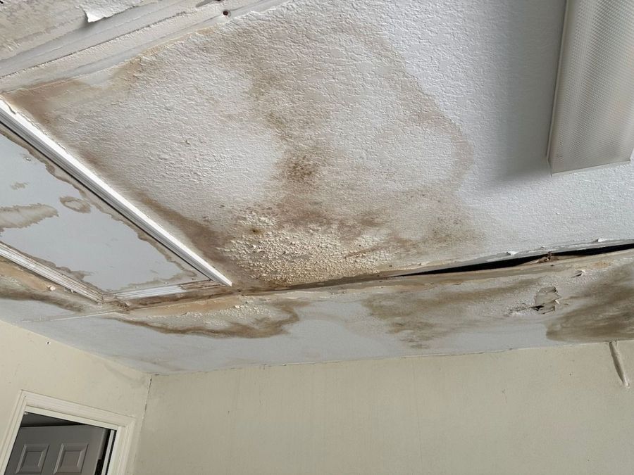 A white ceiling with large, dark brown water stains, peeling texture, and a fluorescent light fixture.