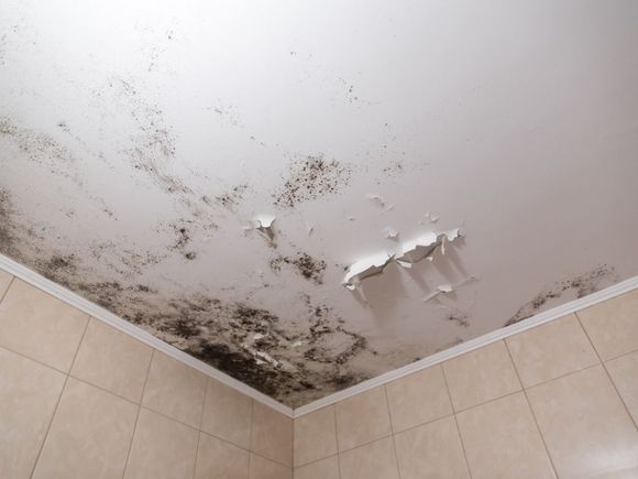 Large black patches of mold and peeling paint on a white bathroom ceiling above tiled walls.