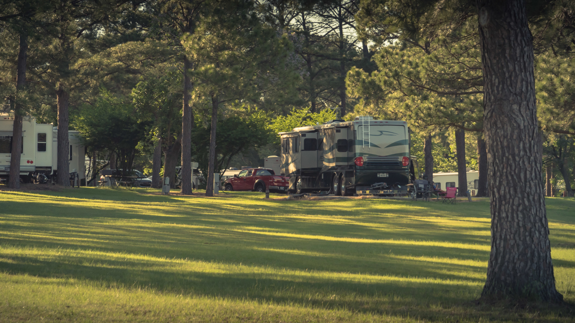 Campground with RVs and cars among trees on a sunny day.