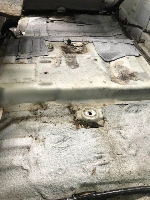 Image of We use special antimicrobial cleaners, air scrubbers and proper PPE equipment when dealing with mold. Don’t risk your health and safety.