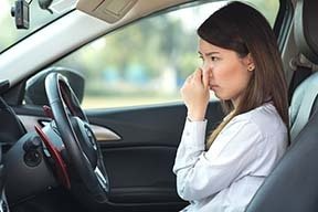 Odor/Mold & Moisture Services