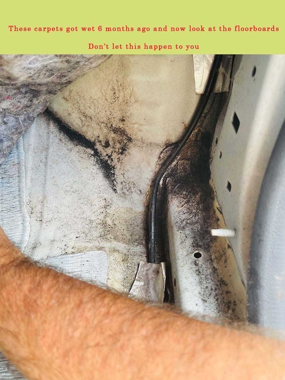 Image of 2008 Honda CRV with Mold on the floorboards, corners and crevices