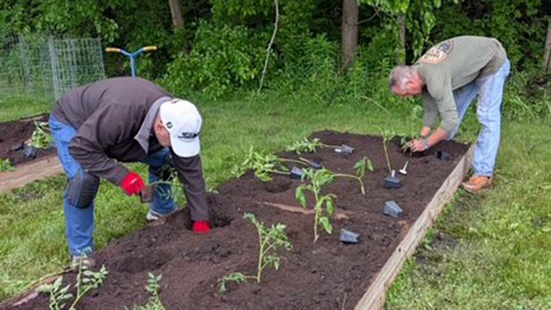 Two people planting seedlings in a raised garden bed.