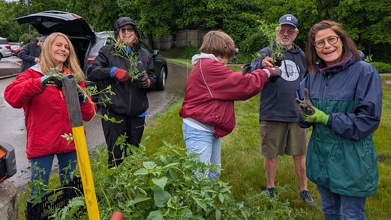Group of people planting, holding plants and gardening tools, outdoors. Overcast day.