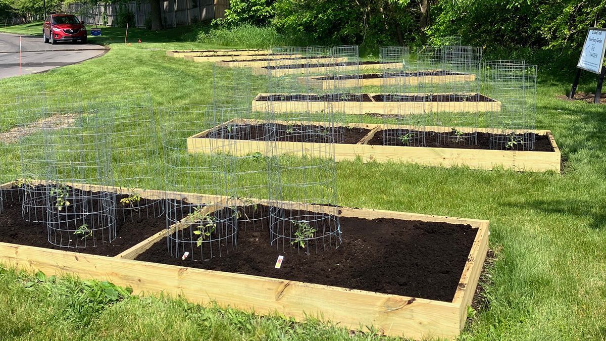 Raised garden beds in a grassy area, some with metal plant supports and small green plants.