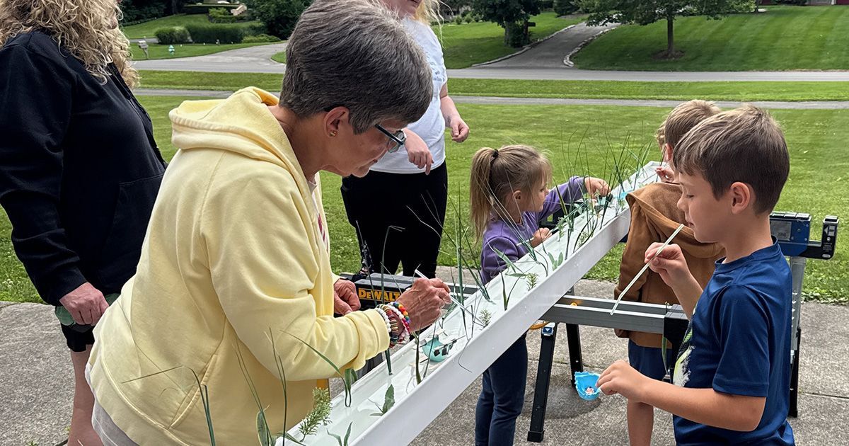 People feeding fish at a pond, with a white railing and green park grass in the background.