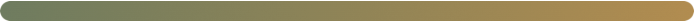 Thin horizontal progress bar with a small filled gold section on a white background
