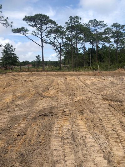 Cleared dirt field with tire tracks, backed by a line of trees under a cloudy sky