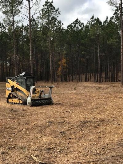 Yellow skid-steer on a cleared dirt lot beside a pine forest under cloudy skies