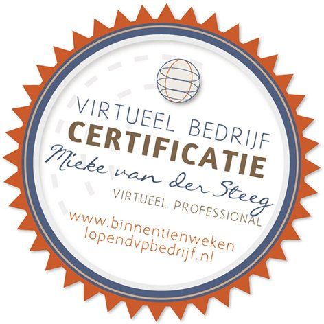 professionele virtual assistant