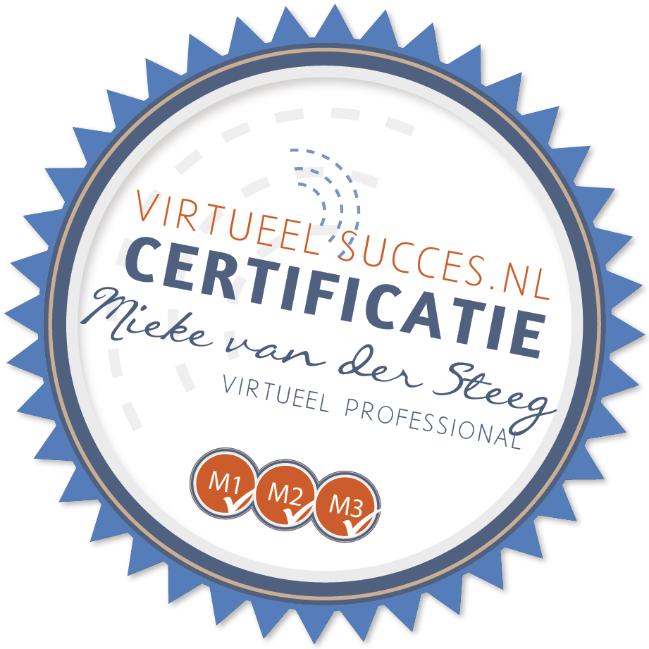 professionele virtual assistant