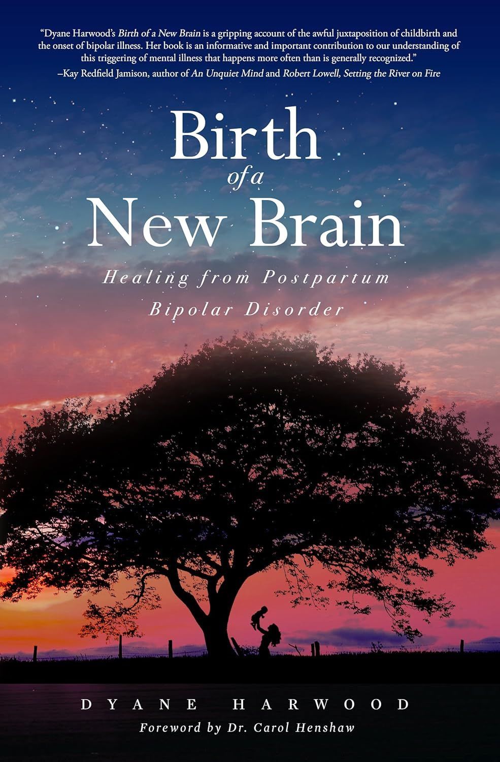 Book cover reading “Birth of a New Brain” over a sunset sky with a silhouetted tree.