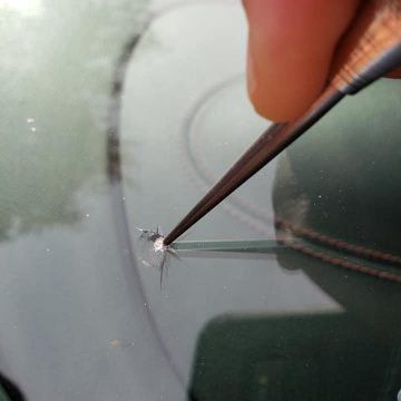 Windshield Crack Before
